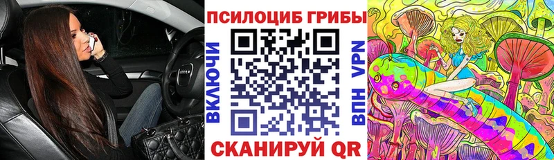 Галлюциногенные грибы Psilocybe  Купить где  Приволжск 
